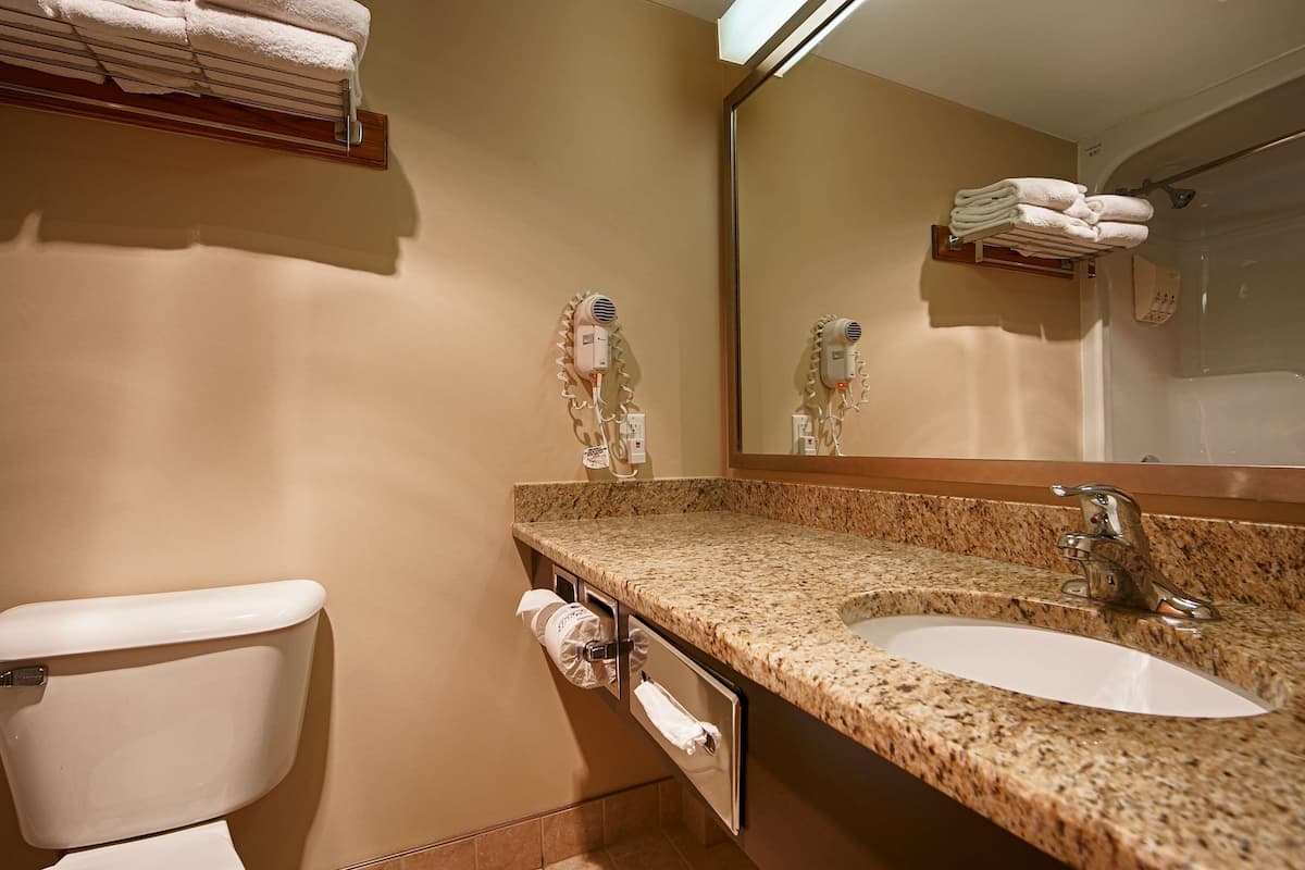 free toiletries, hair dryer, towels, soap