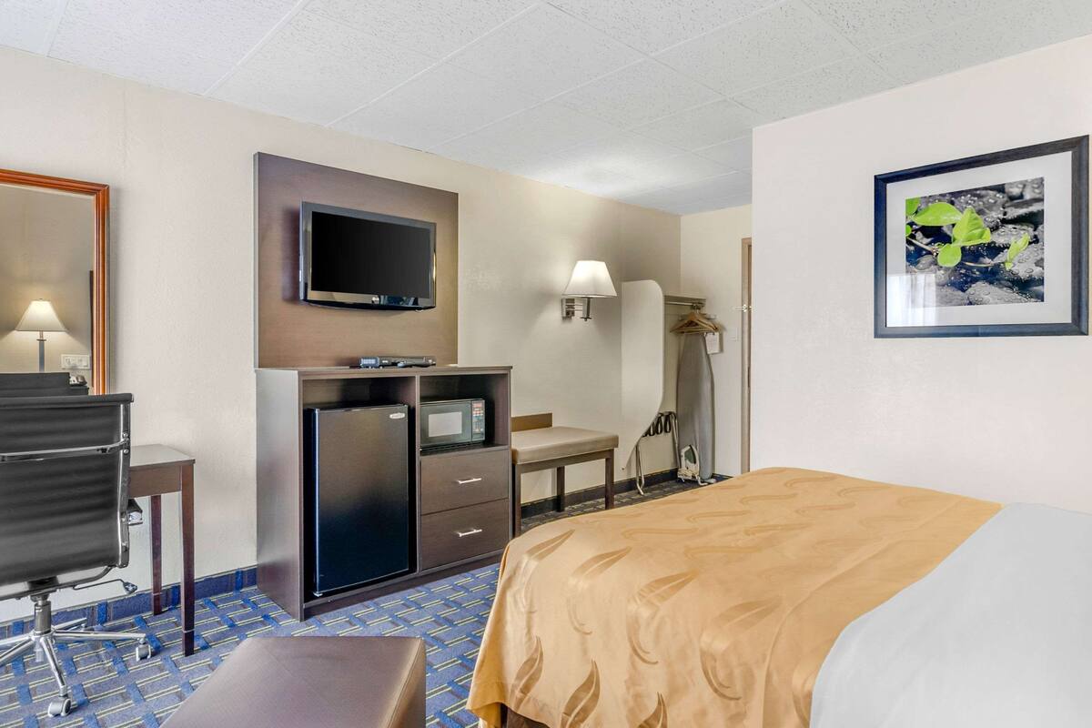 A hotel room with a bed, desk, chair, television, and a framed picture on the wall.