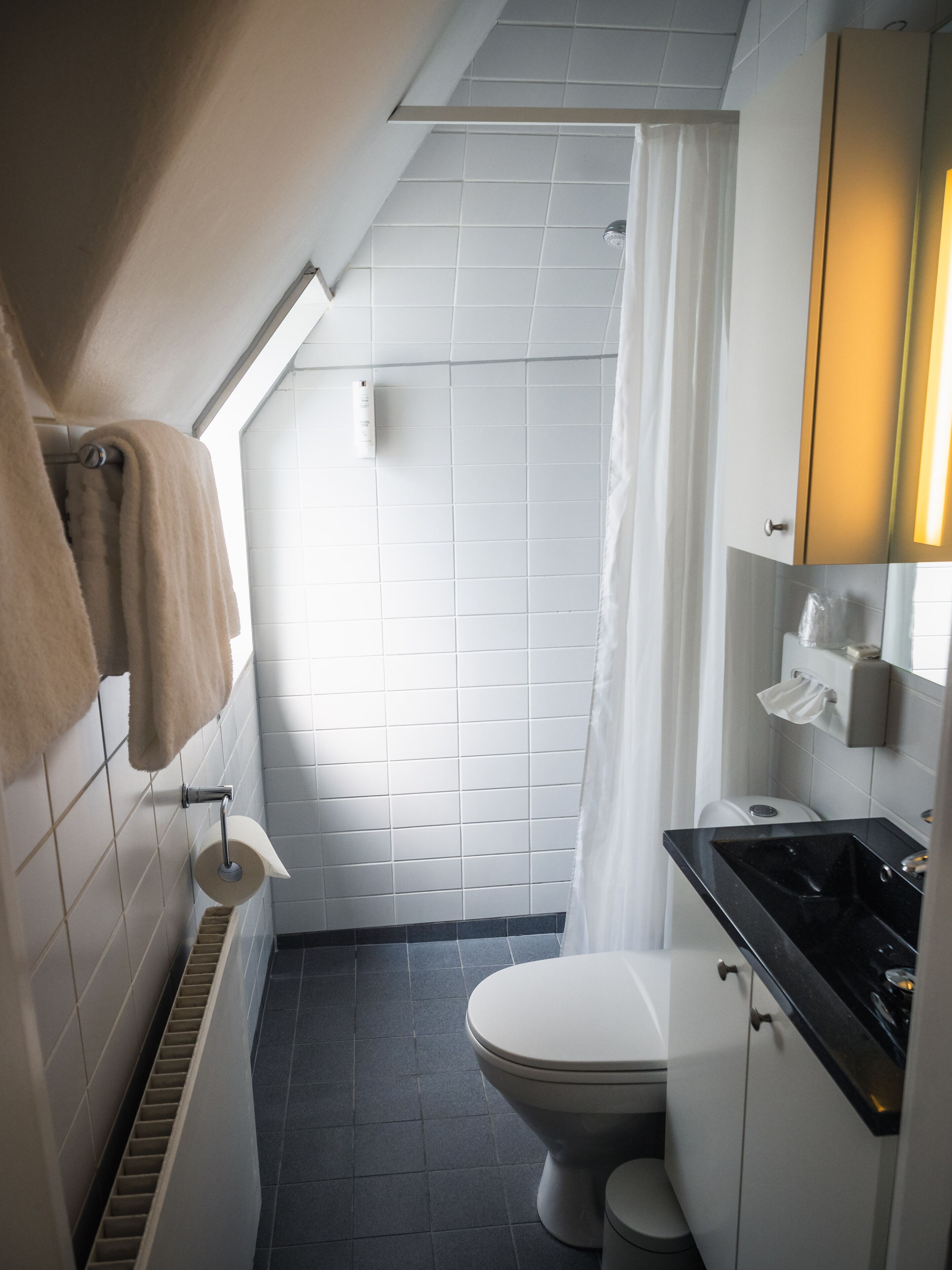 Un baño moderno con inodoro, lavabo y ducha.