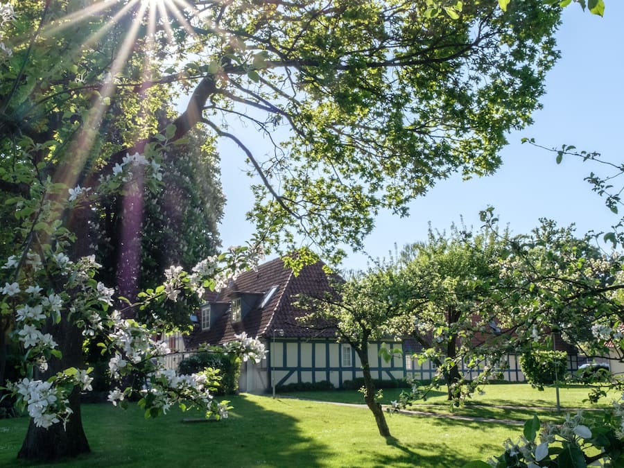 A traditional house with a sloped roof, surrounded by a well-maintained lawn and flowering trees.