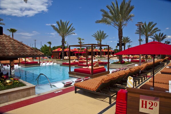 Relax by the pool surrounded by palm trees and lounge chairs.