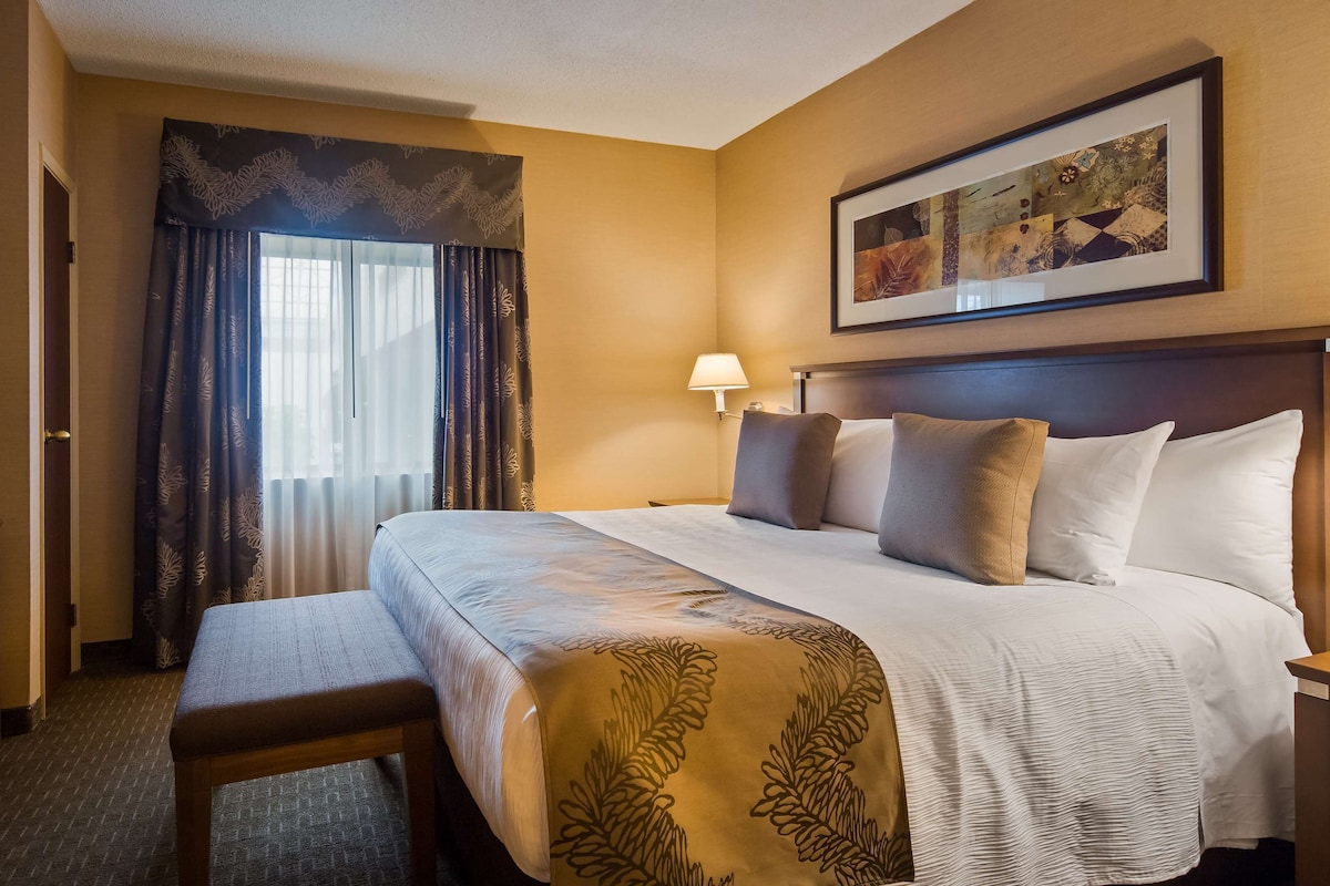 A hotel room with a bed, a bench, a dresser, a window with curtains, a wall-mounted lamp, and a framed picture.