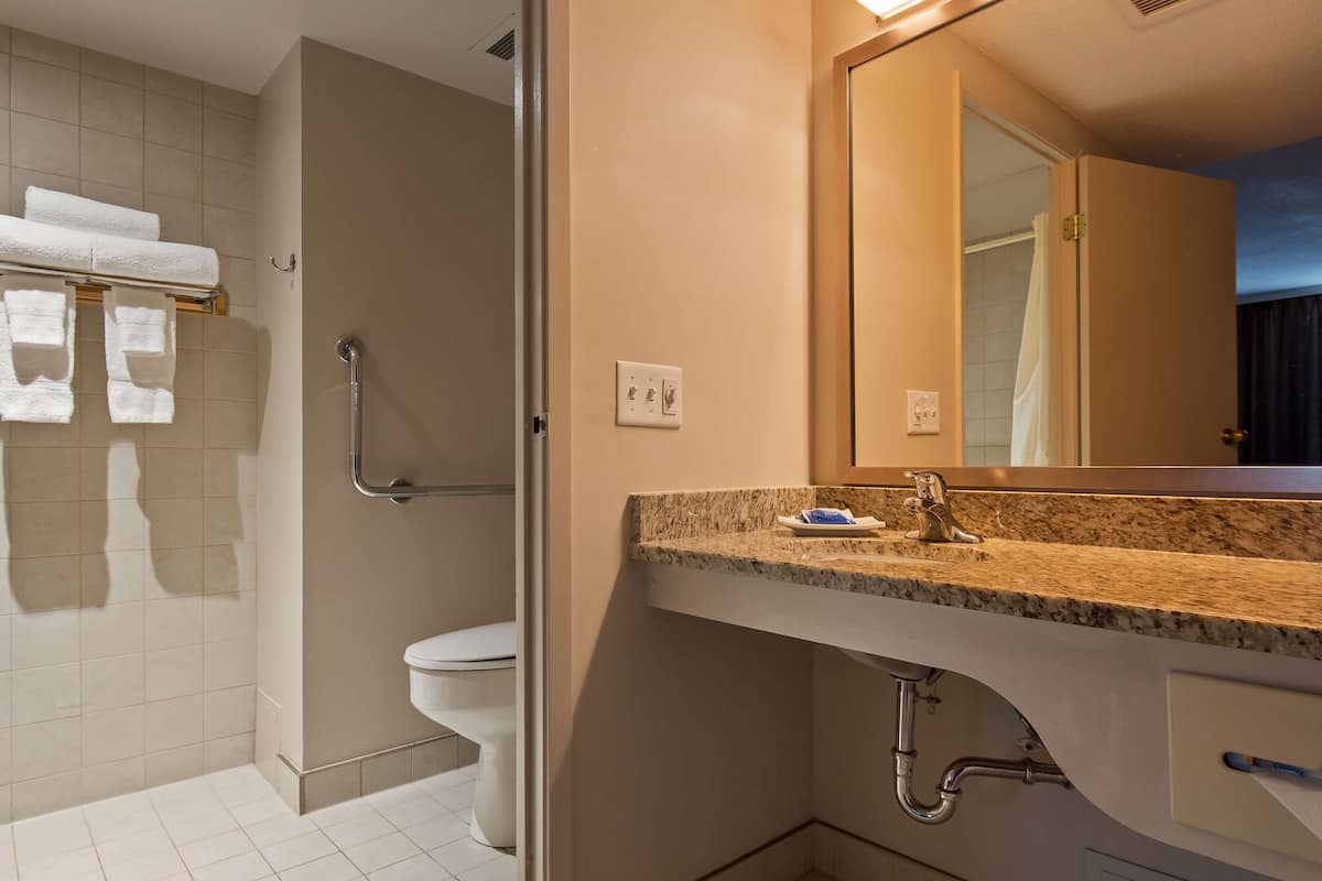 combined shower/bathtub, eco-friendly toiletries, hair dryer, towels