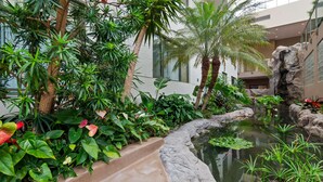 A lush indoor garden with a variety of plants, a small pond with fish, and a rocky water feature.