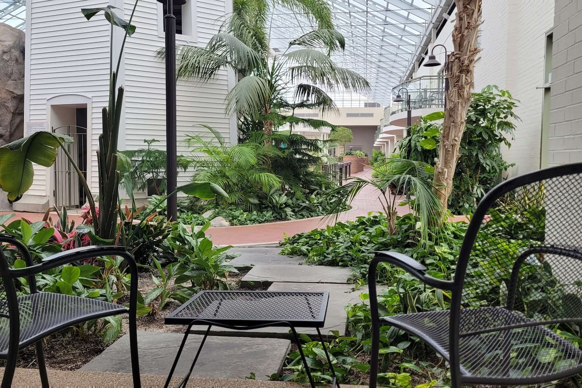 standard room, 2 queen beds, non smoking, patio (atrium view) | view from room