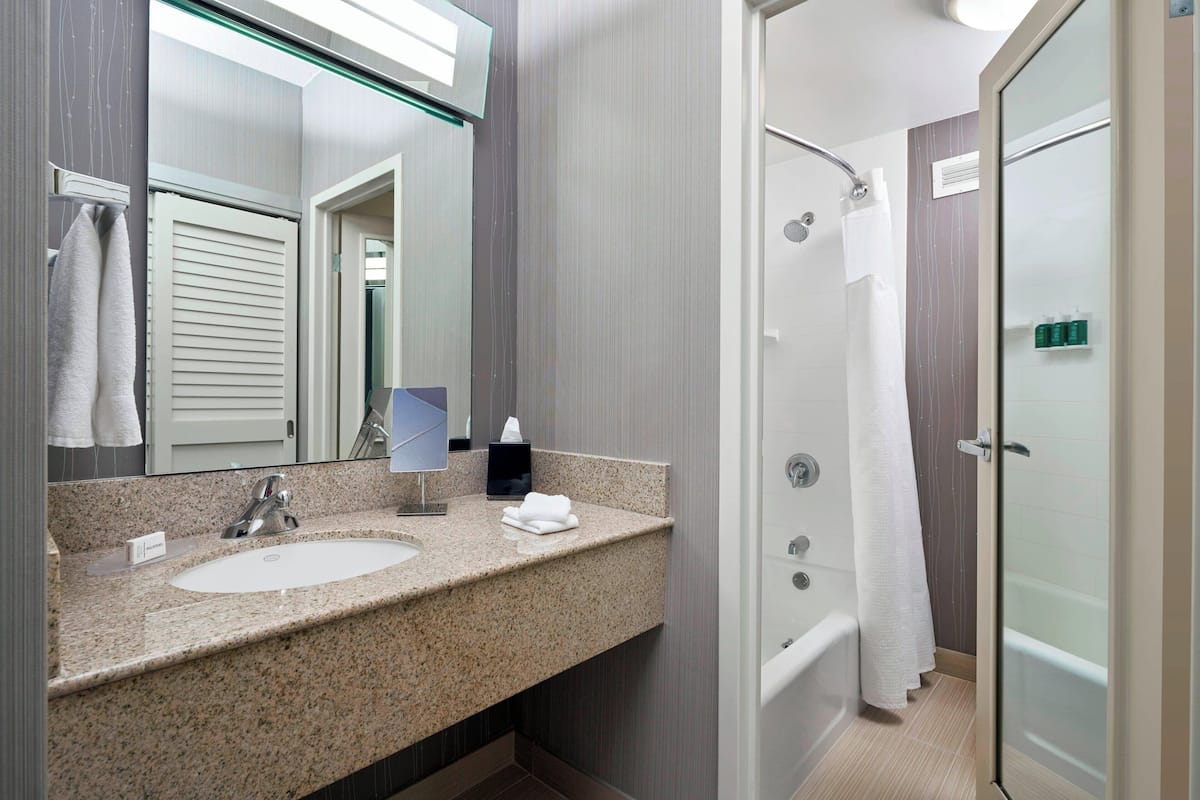 combined shower/bathtub, free toiletries, hair dryer, towels