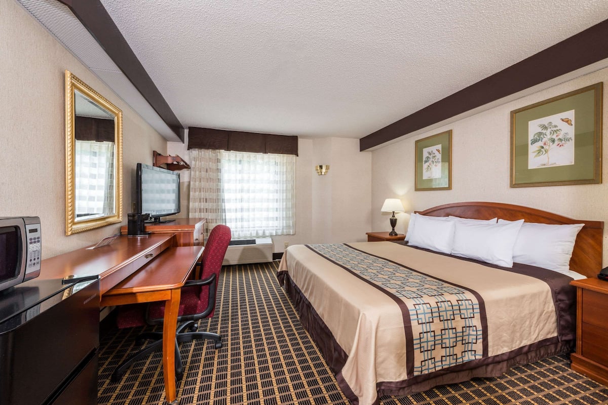 Habitación de hotel con cama, escritorio, silla, televisor y espejo.