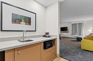 One Large King Studio Suite | Minibar