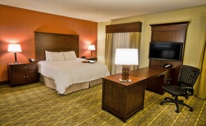One Large King Studio Suite
