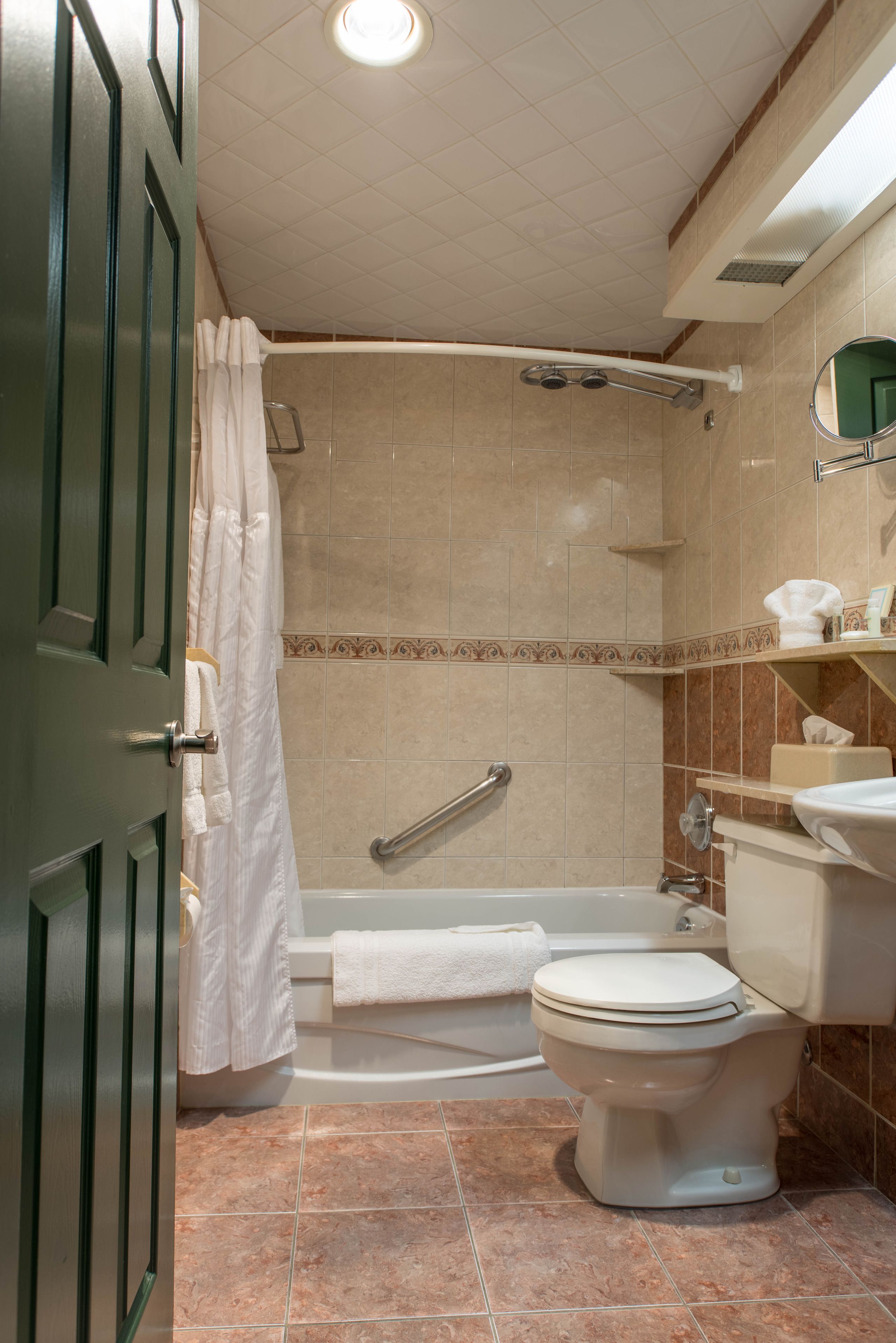 combined shower/bathtub, free toiletries, hair dryer, towels
