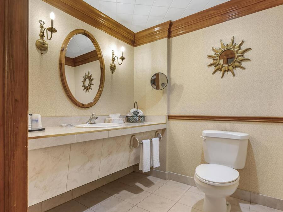 A bathroom with a vanity, sink, mirror, towel rack, toilet, and decorative wall sconces.