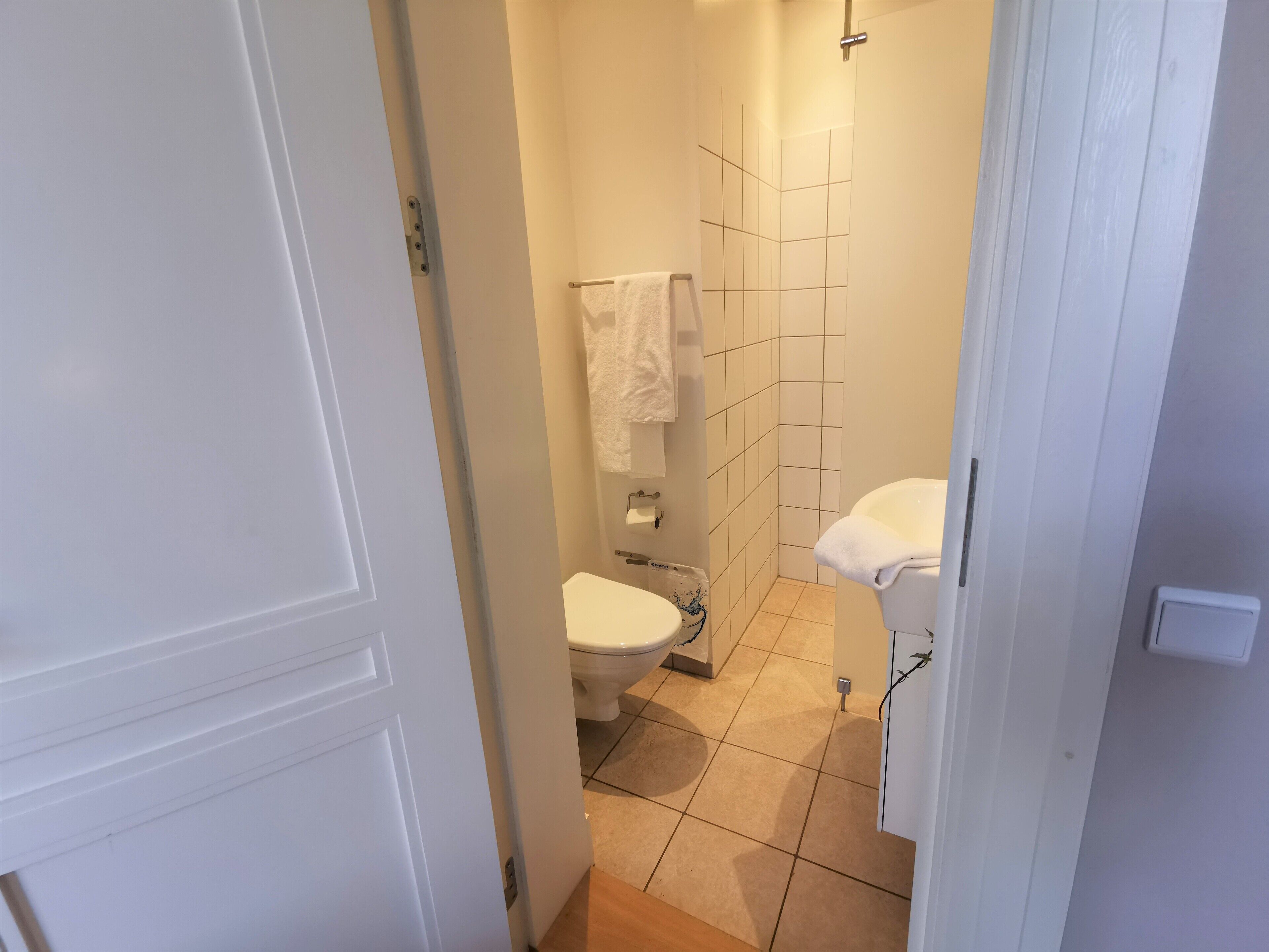 A bathroom with a toilet, a sink, and a shower.