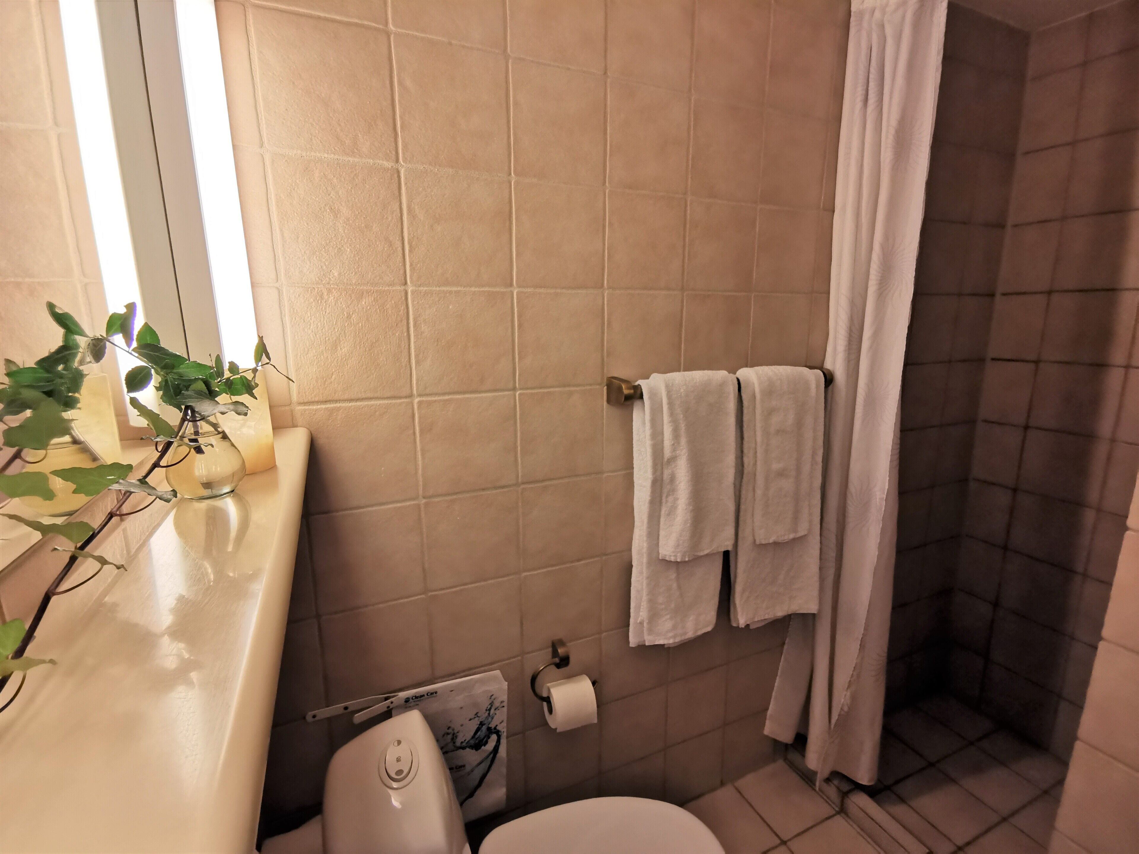 Une salle de bain comprenant des toilettes, un lavabo avec une plante, un rideau de douche et un porte-serviettes.