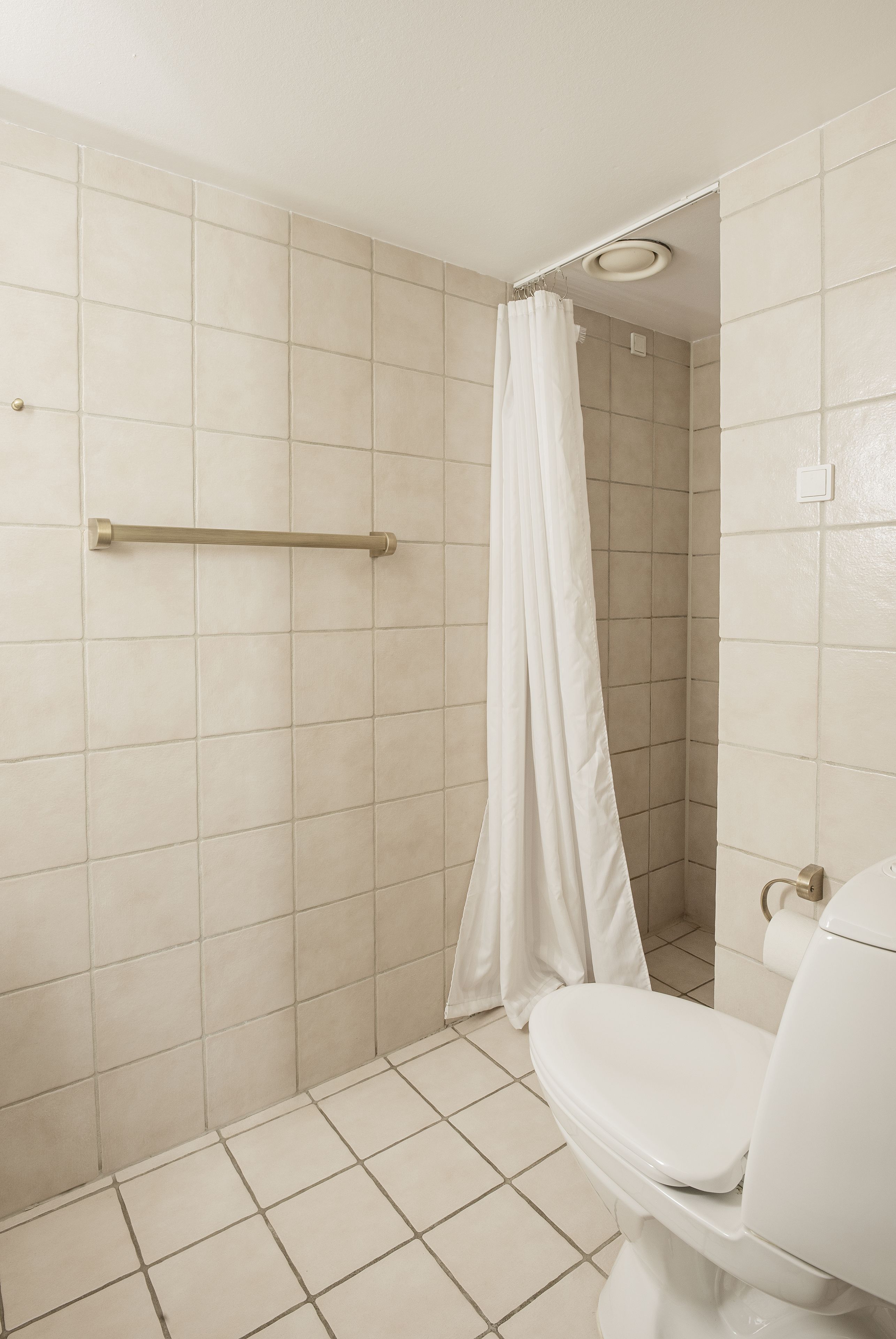A bathroom with a shower, toilet, and a handrail.