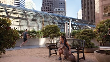 Rooftop terrace