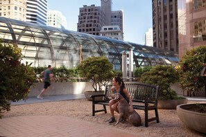 Rooftop terrace