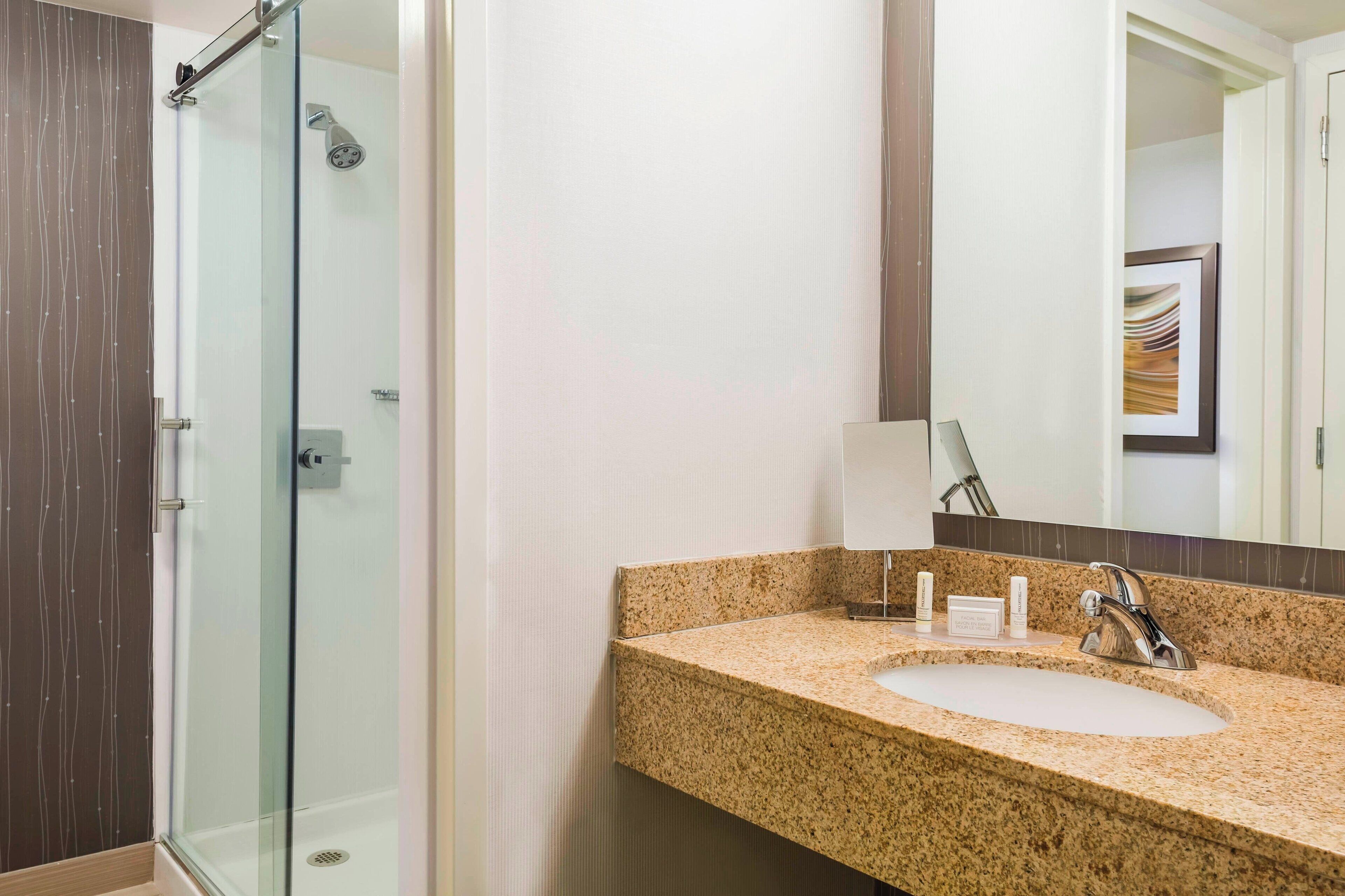 combined shower/bathtub, free toiletries, hair dryer, towels