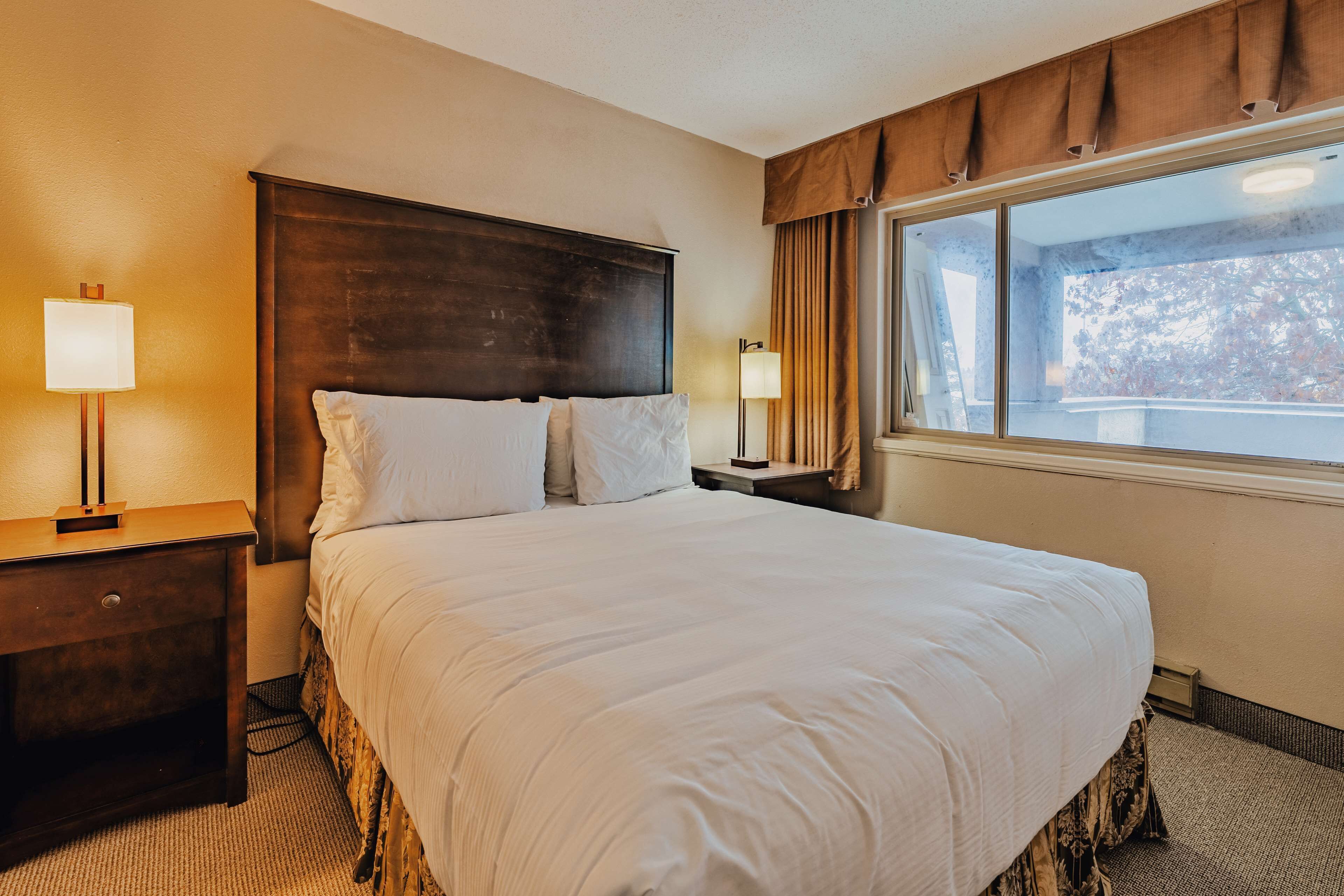 Habitación de hotel con una cama grande, dos mesitas de noche con lámparas, una ventana con cortinas y vista a árboles.