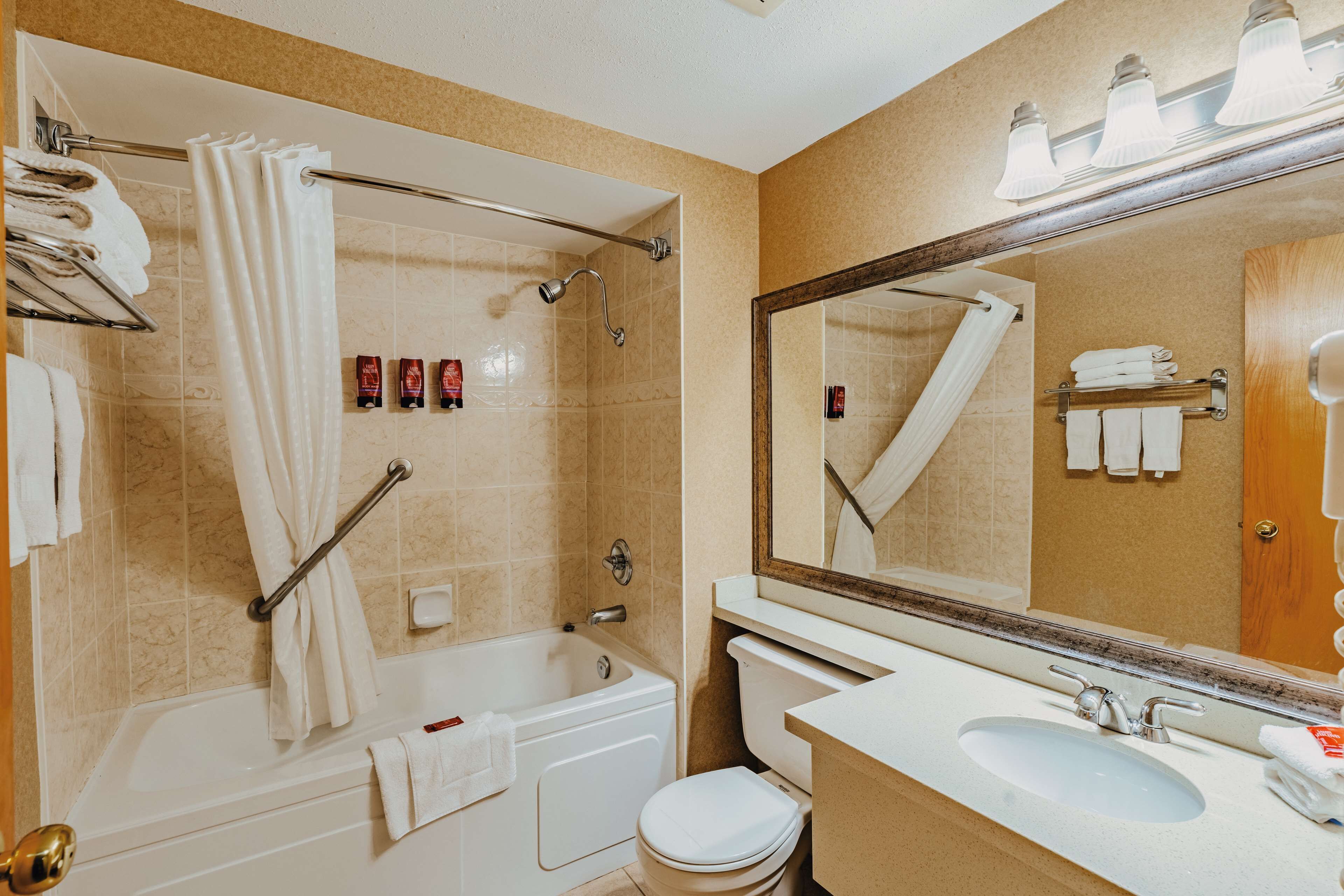 Une salle de bain avec une baignoire, des toilettes, un lavabo et un grand miroir.