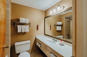 Combined shower/tub, spring water tub, hydromassage showerhead