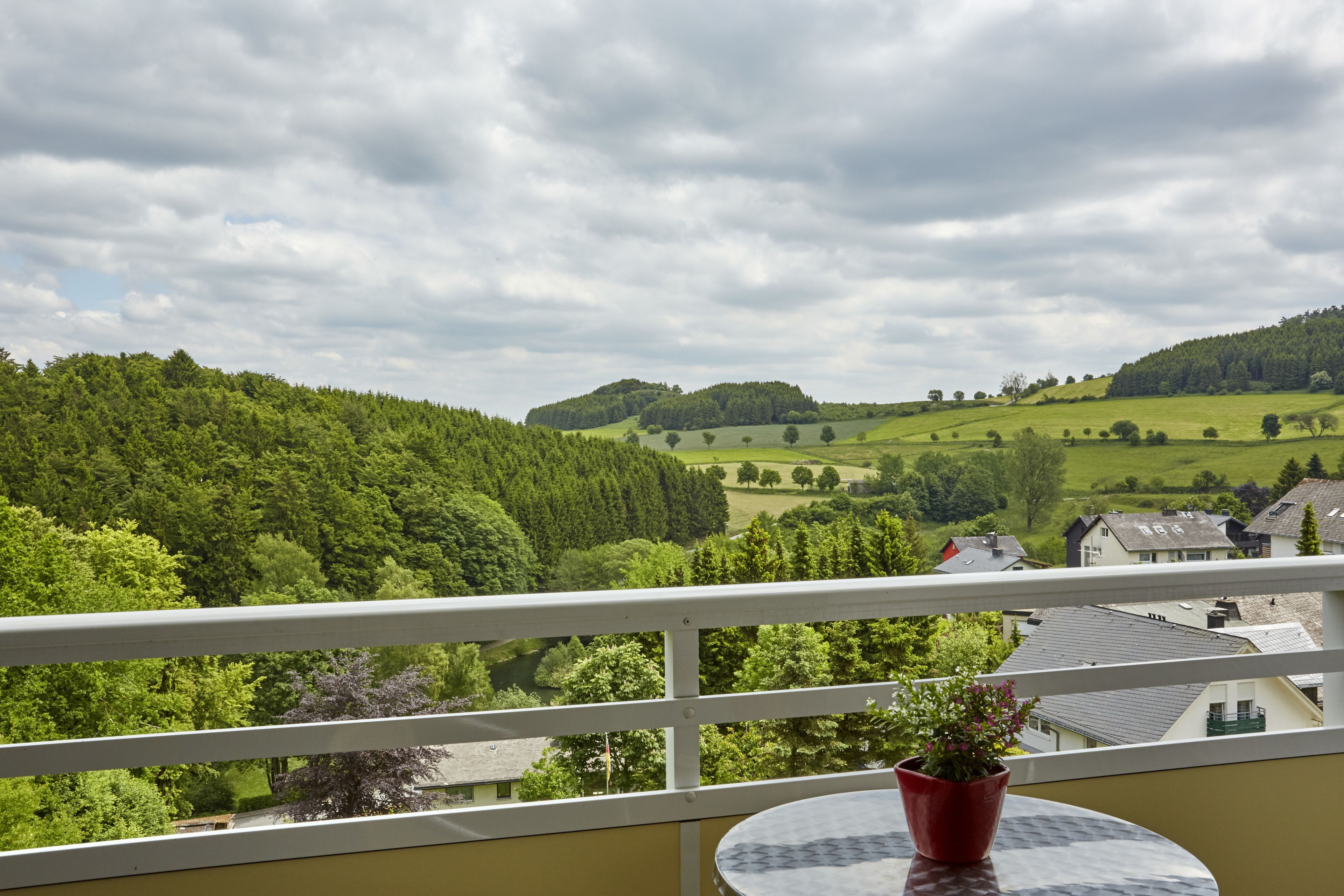 Ein Balkon mit einem Blumentopf, der auf eine grüne Landschaft mit Häusern blickt.
