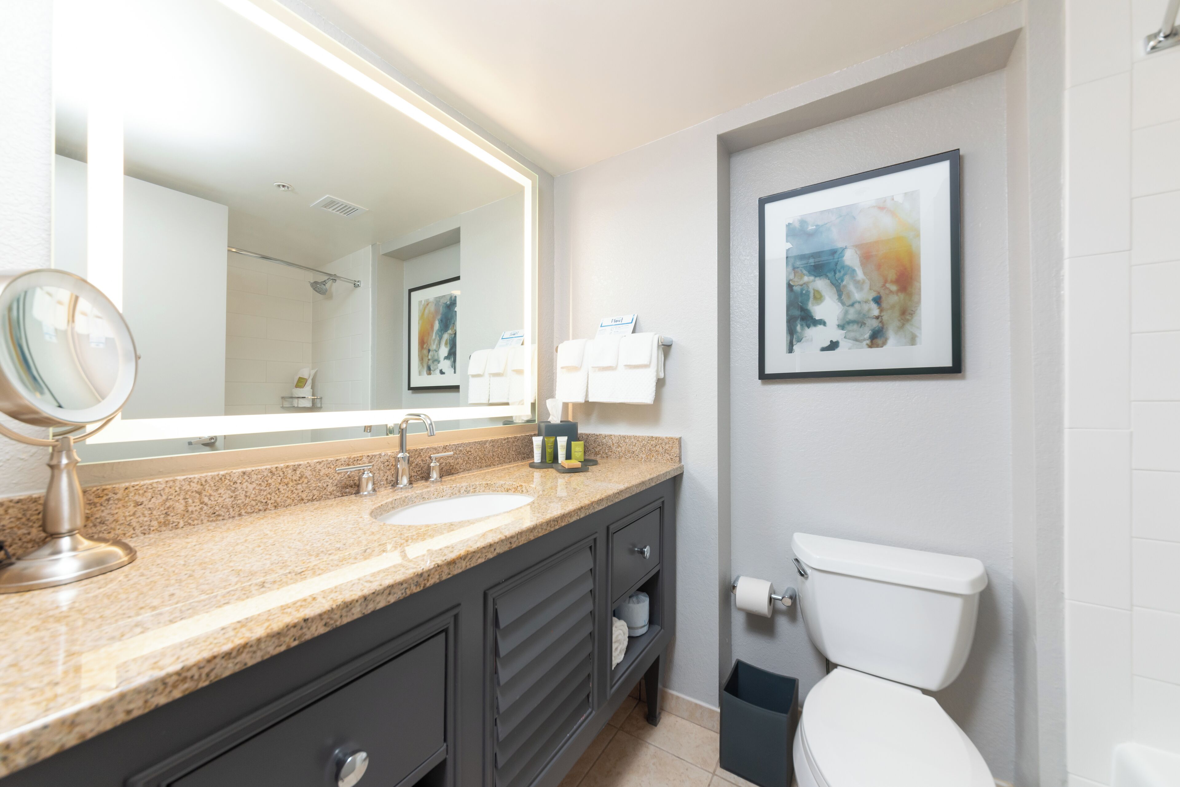 A modern bathroom with a granite countertop, a large mirror, a toilet, and a framed abstract painting on the wall.