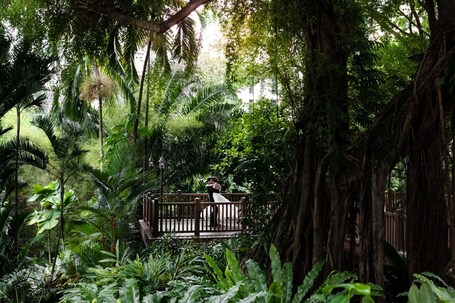 Shangri La Singapore - Image 53