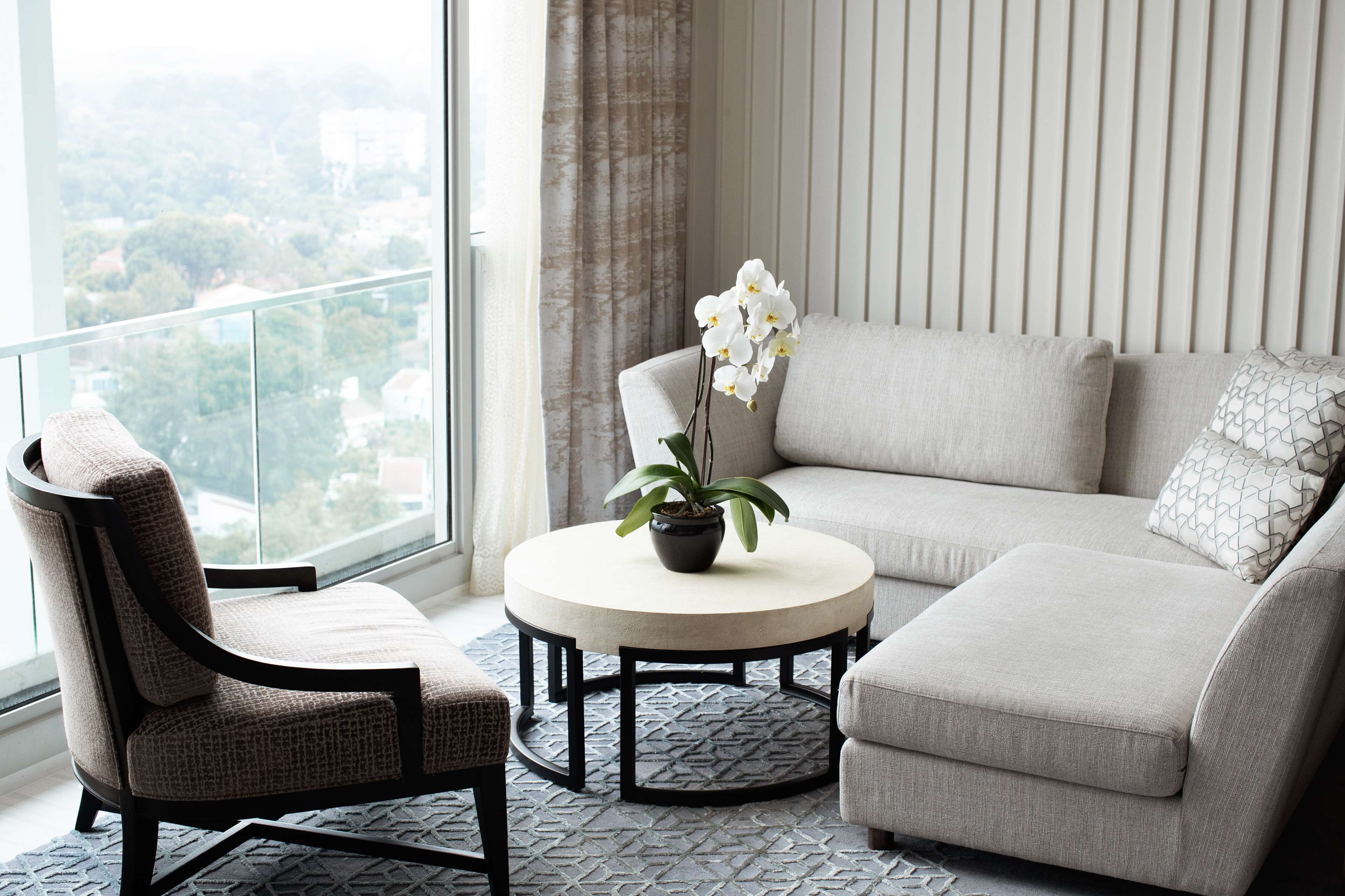 A modern living room with a sofa, armchair, and round coffee table, featuring a potted orchid.