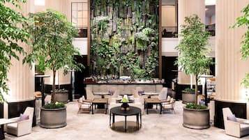 3 restaurants, Italian cuisine
