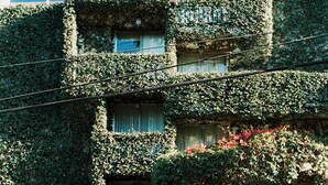 A building with multiple balconies covered in greenery, a statue in the entrance, and a sign that reads 'PETIT.' - Petit Ermitage (West Hollywood)