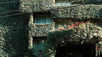 Exterieur