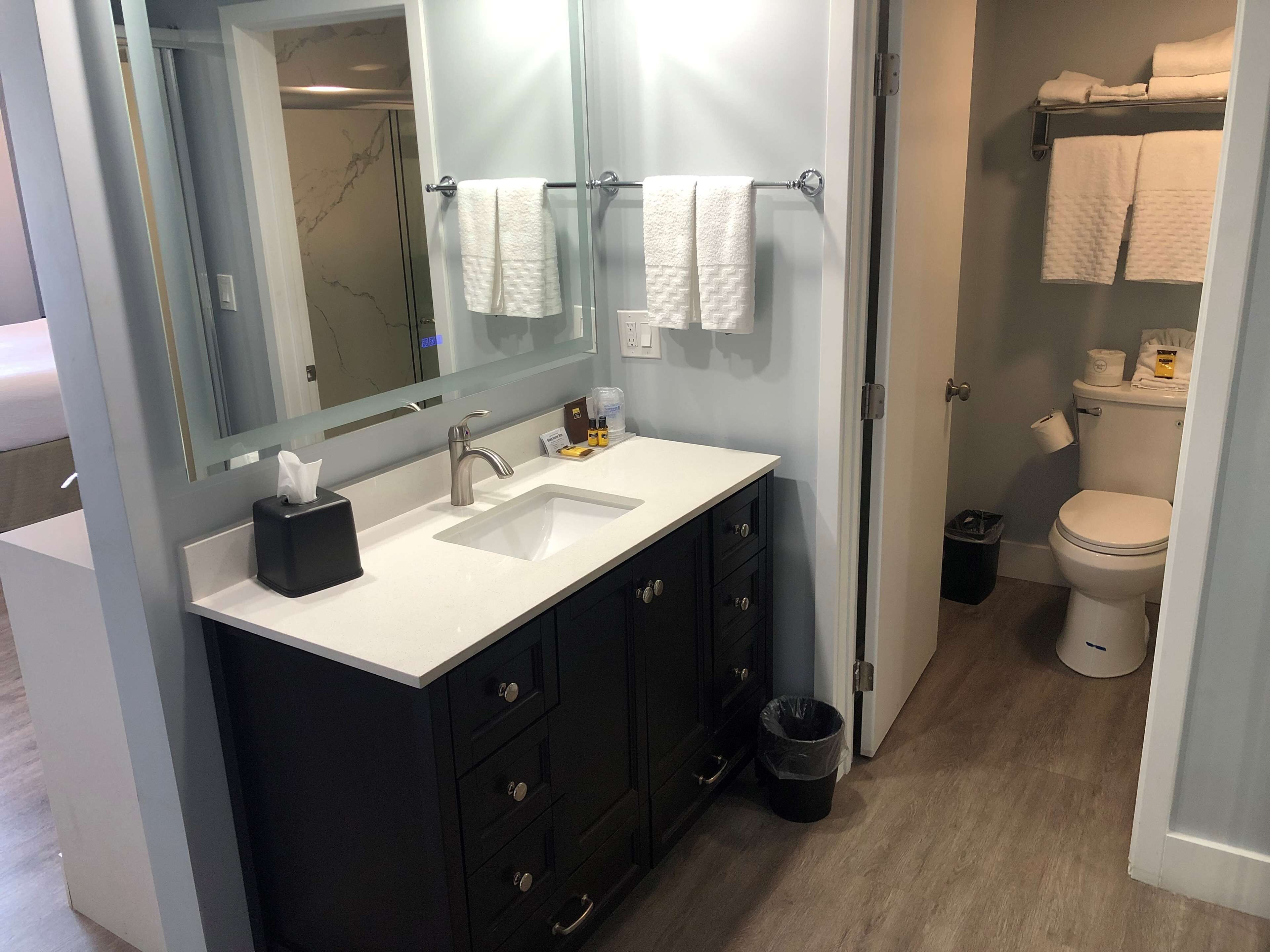 standard room, 1 king bed, non smoking, jetted tub | bathroom | free toiletries, hair dryer, towels, soap