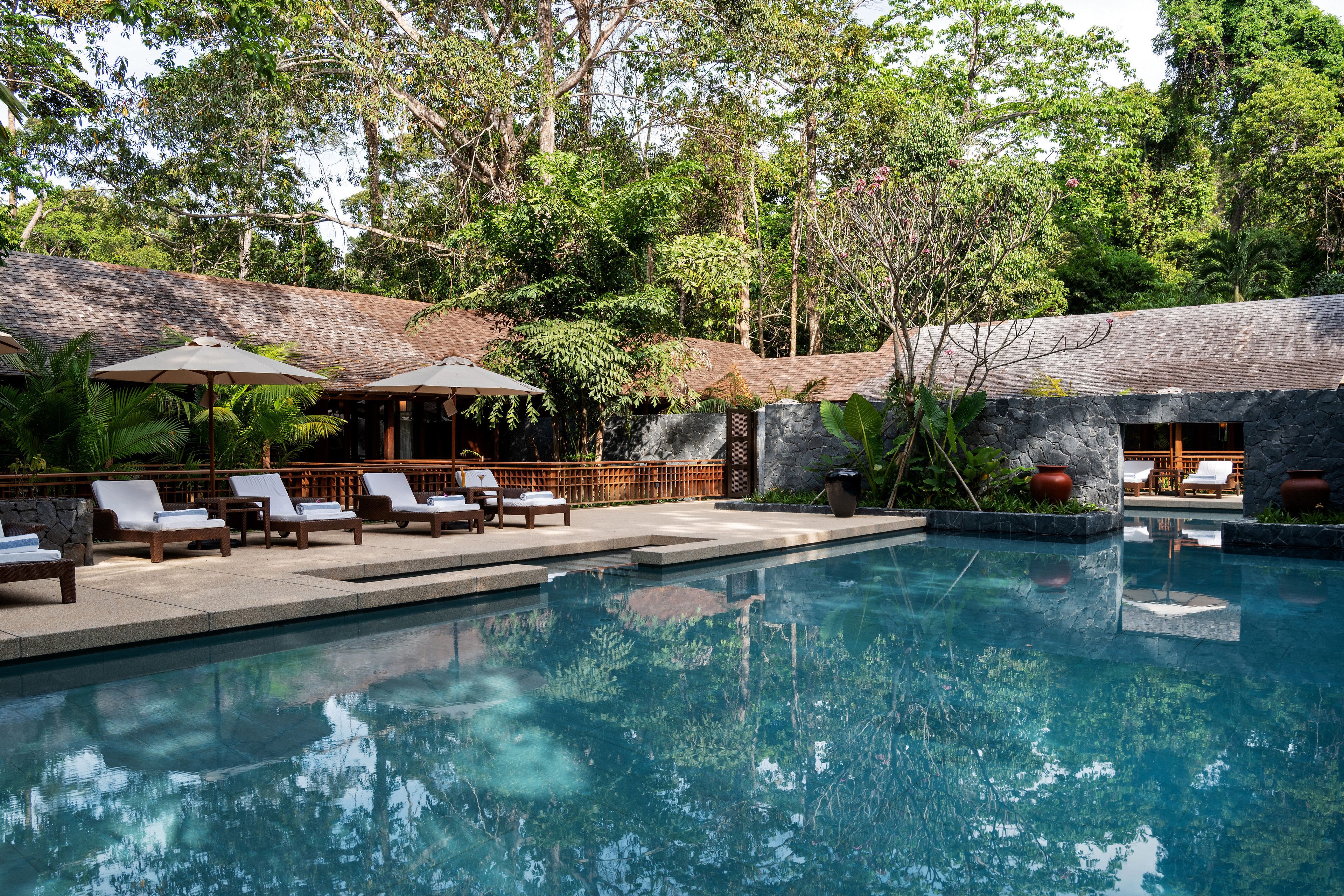 A pool area with lounge chairs and umbrellas, surrounded by lush greenery and a stone wall.