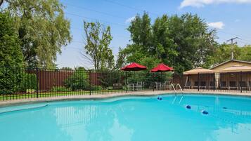 Relax by the pool surrounded by lounge chairs and shaded by umbrellas.