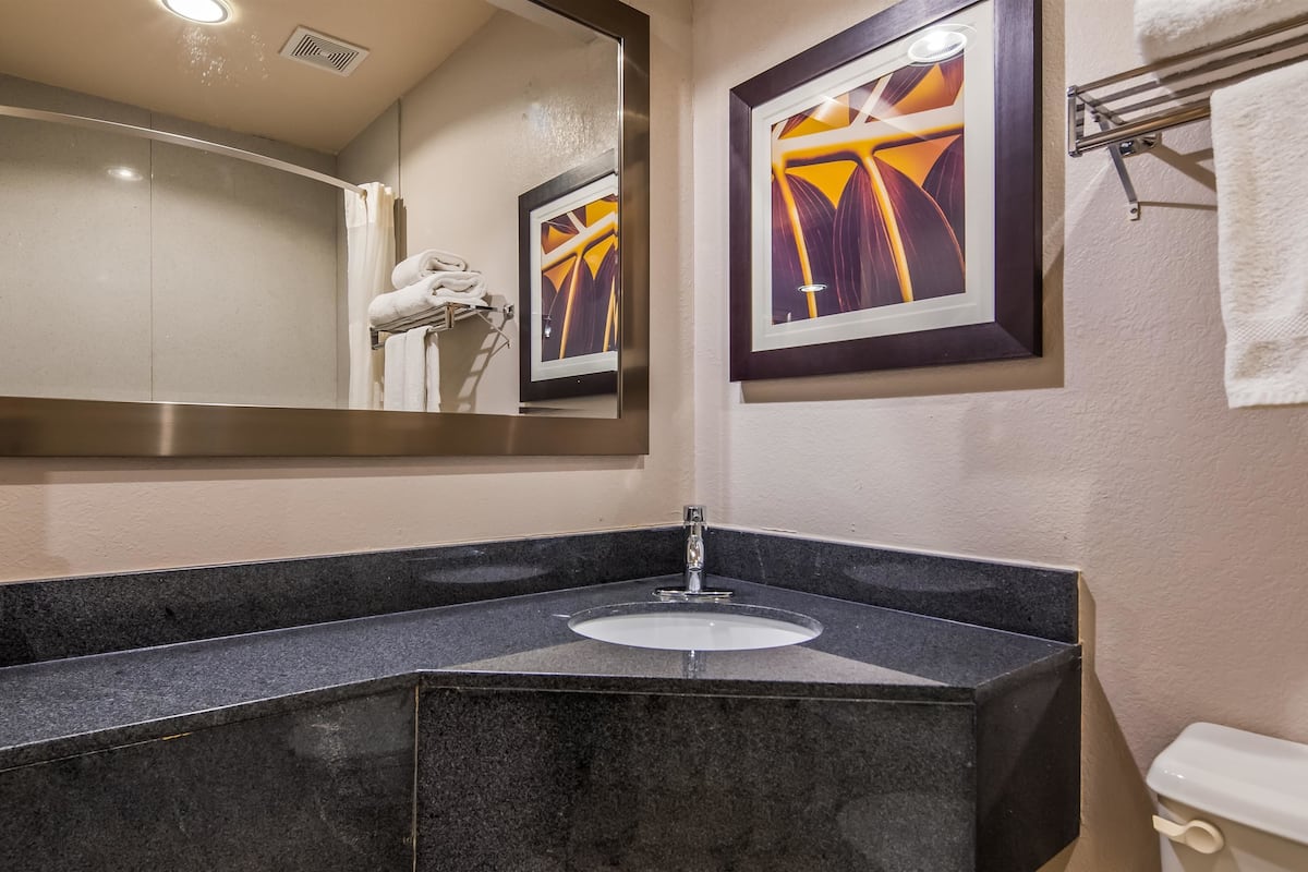 combined shower/bathtub, free toiletries, hair dryer, towels