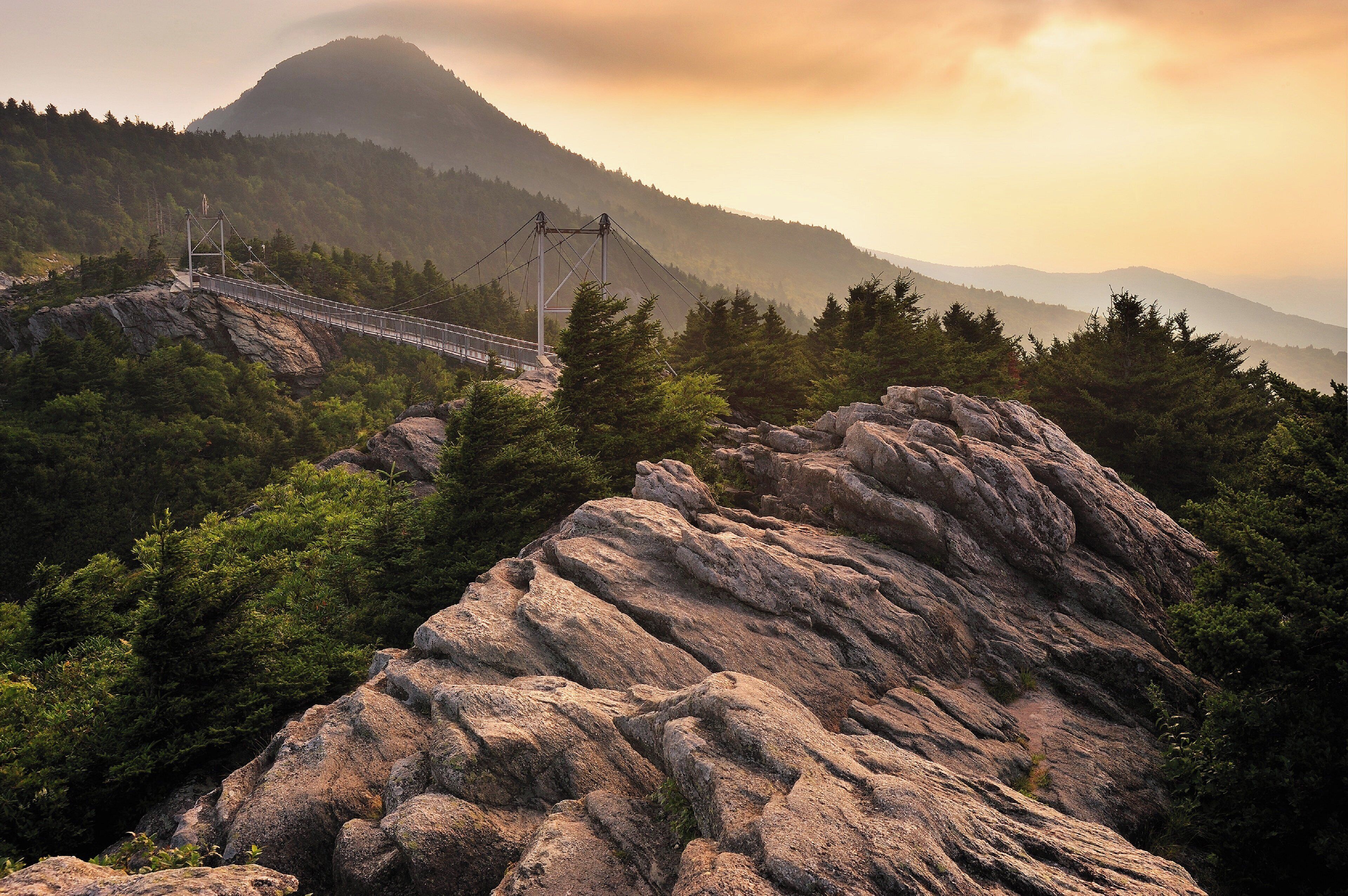 A mountainous landscape with a suspension bridge and dense forest.