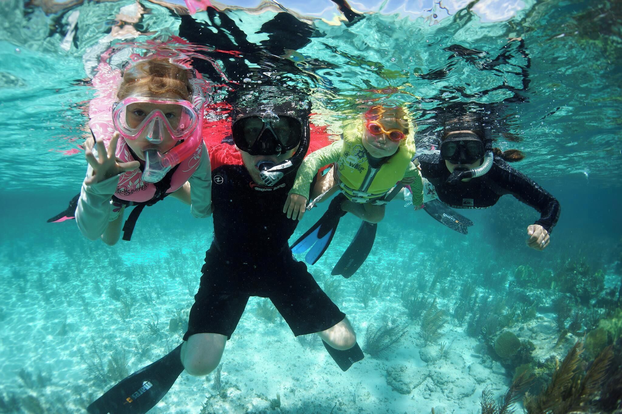 A group of people scuba diving underwater.
