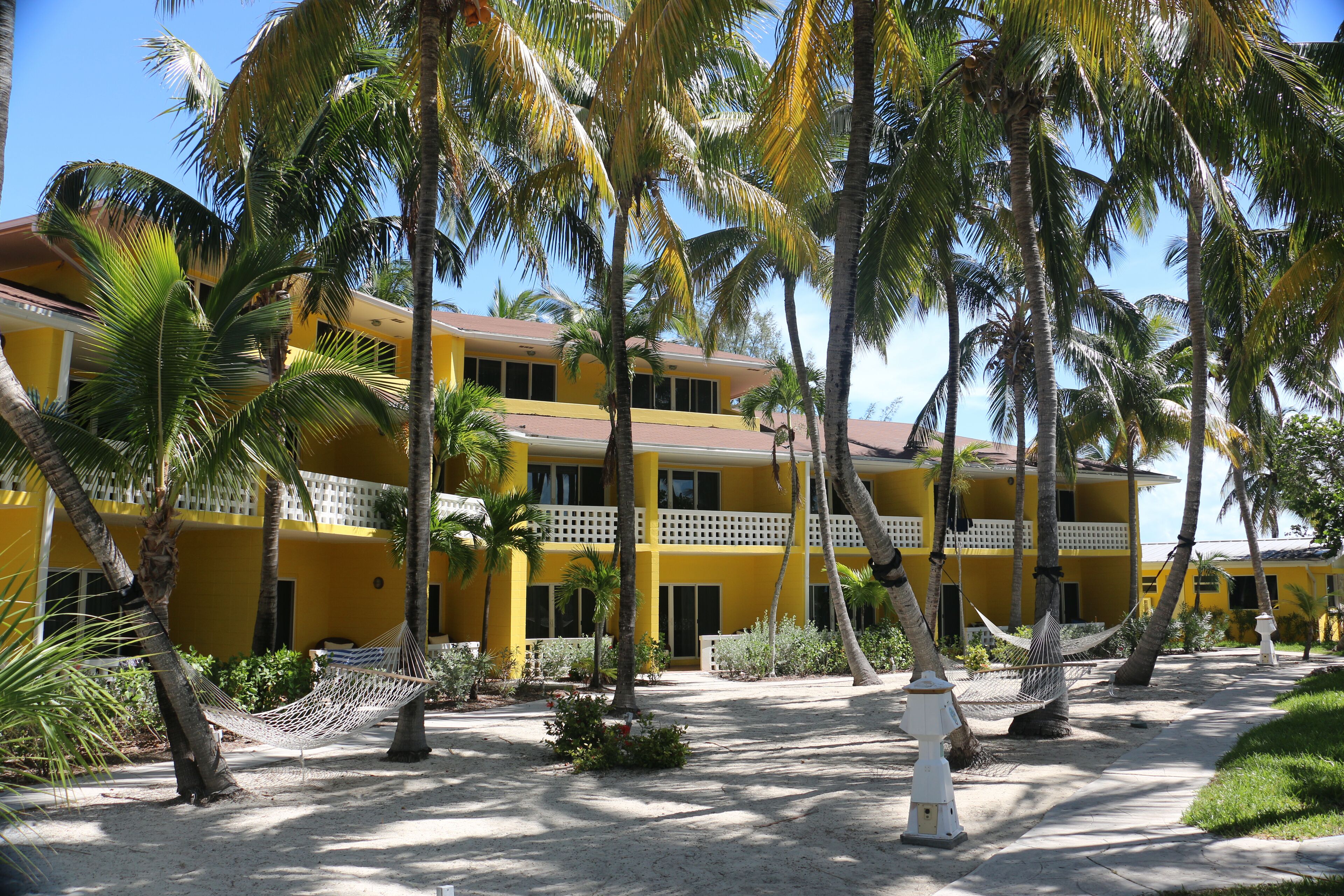 Standard Room, 2 Queen Beds, Garden View | Premium bedding, pillow-top beds, in-room safe, blackout curtains