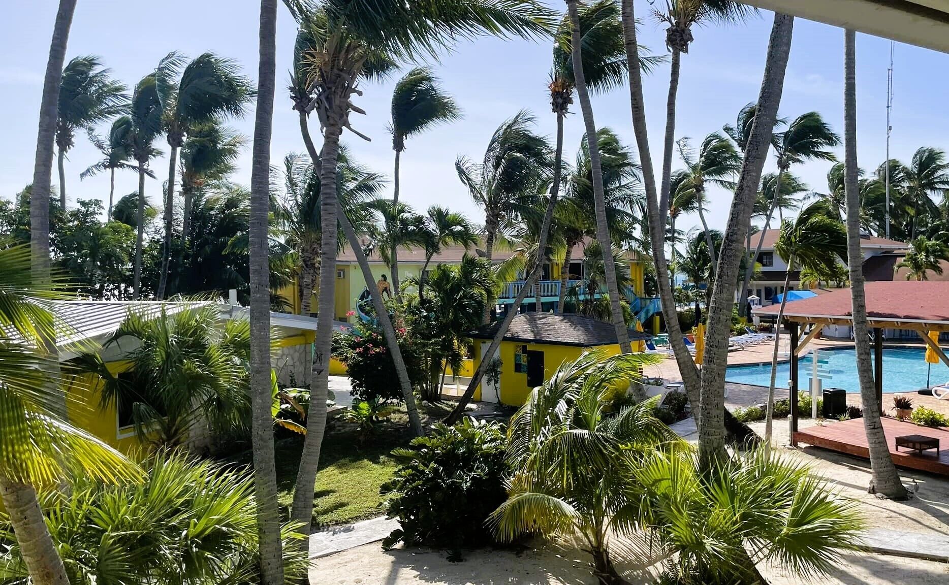 A resort with a swimming pool, palm trees, and a small building.