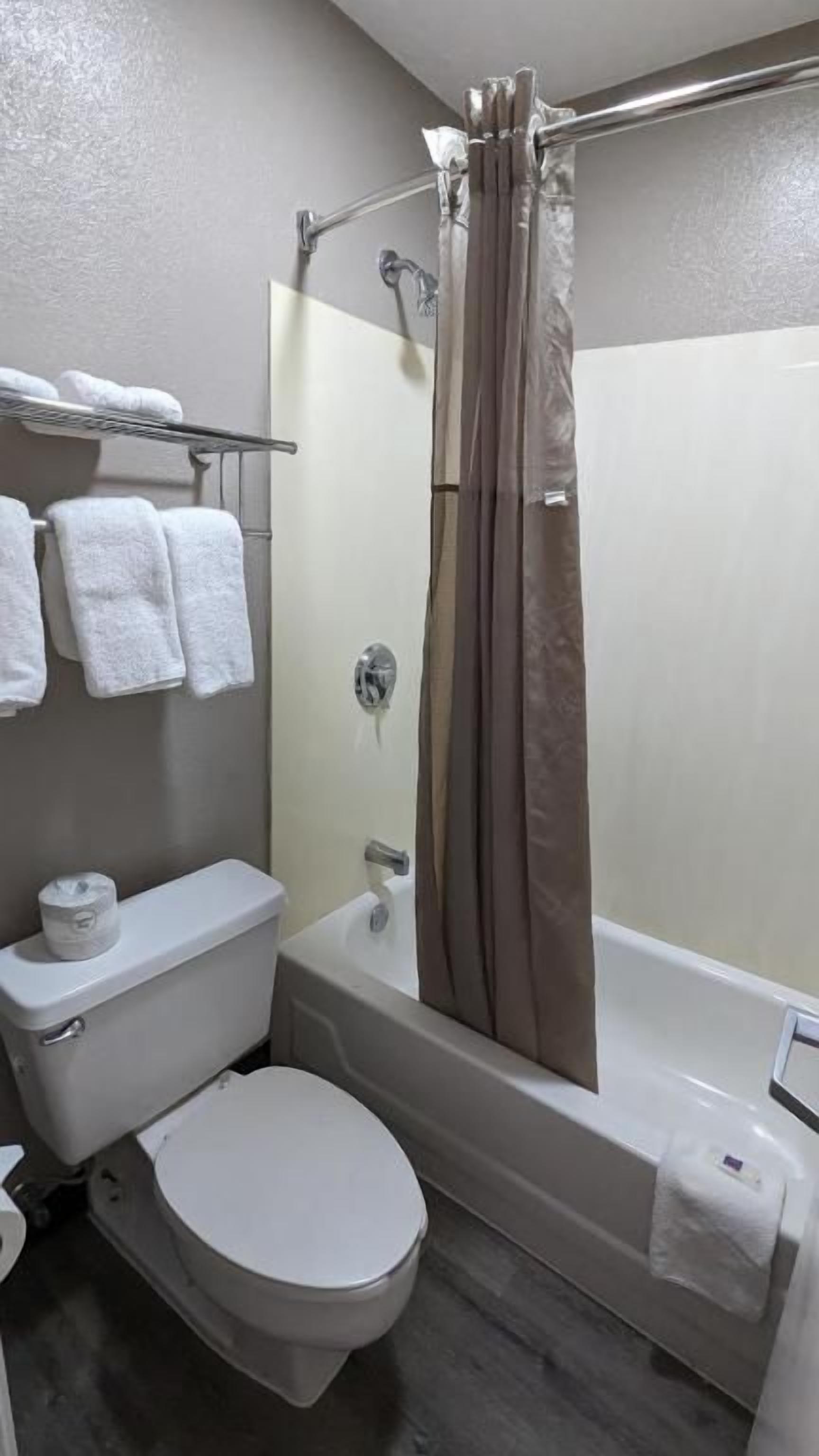Un bagno con il water, vasca da bagno, tenda della doccia e portasciugamani con asciugamani.