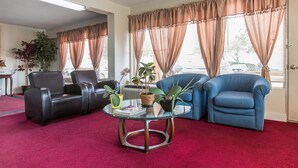 Ein Wohnzimmer mit rotem Teppich, zwei Ledersofas, einem Glastisch und Topfpflanzen.