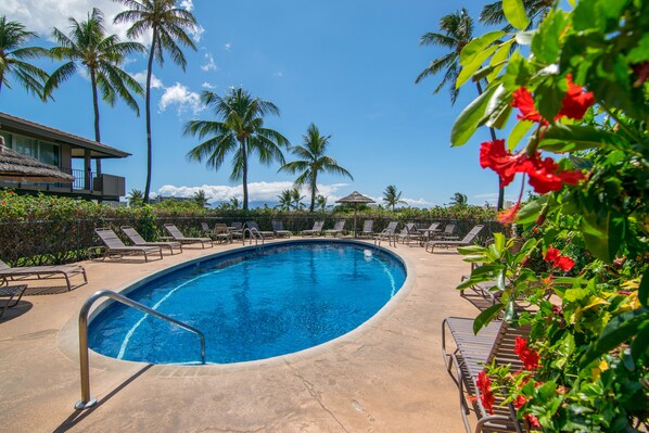 3 개의 야외 수영장