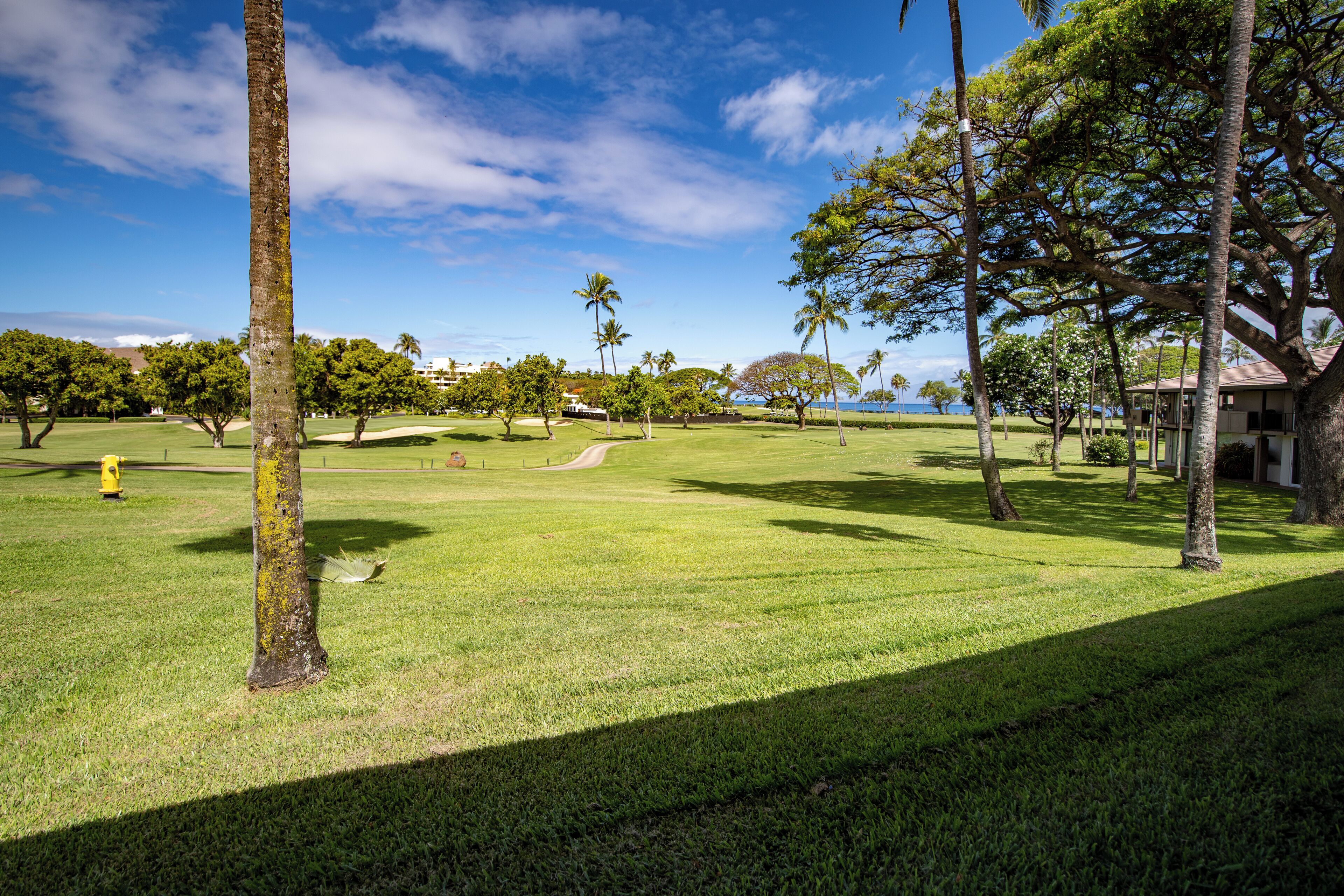 A well-maintained golf course with a clear sky, palm trees, and a distant view of the ocean.