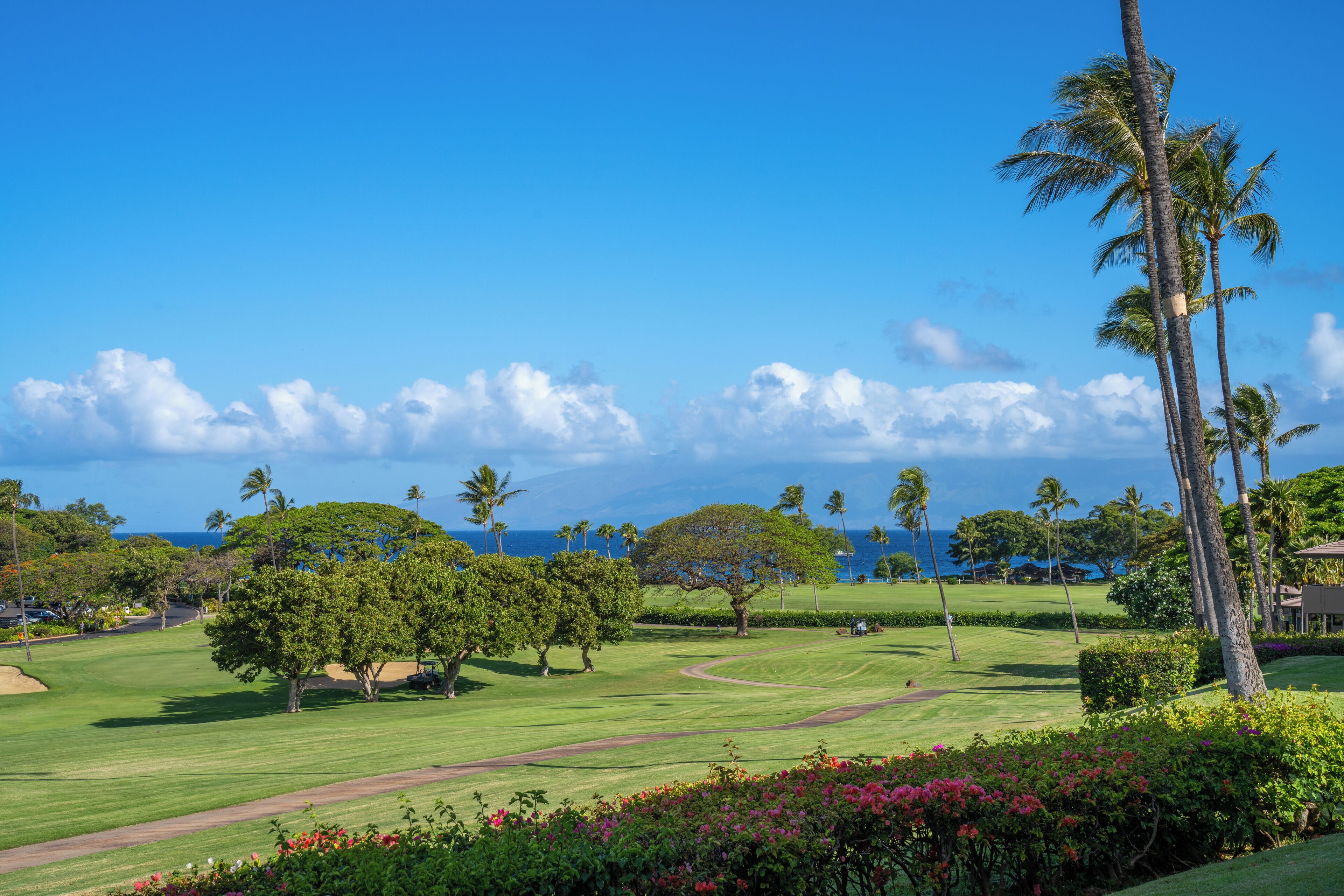 Campo de golf con vistas despejadas al océano, palmeras y césped bien cuidado.