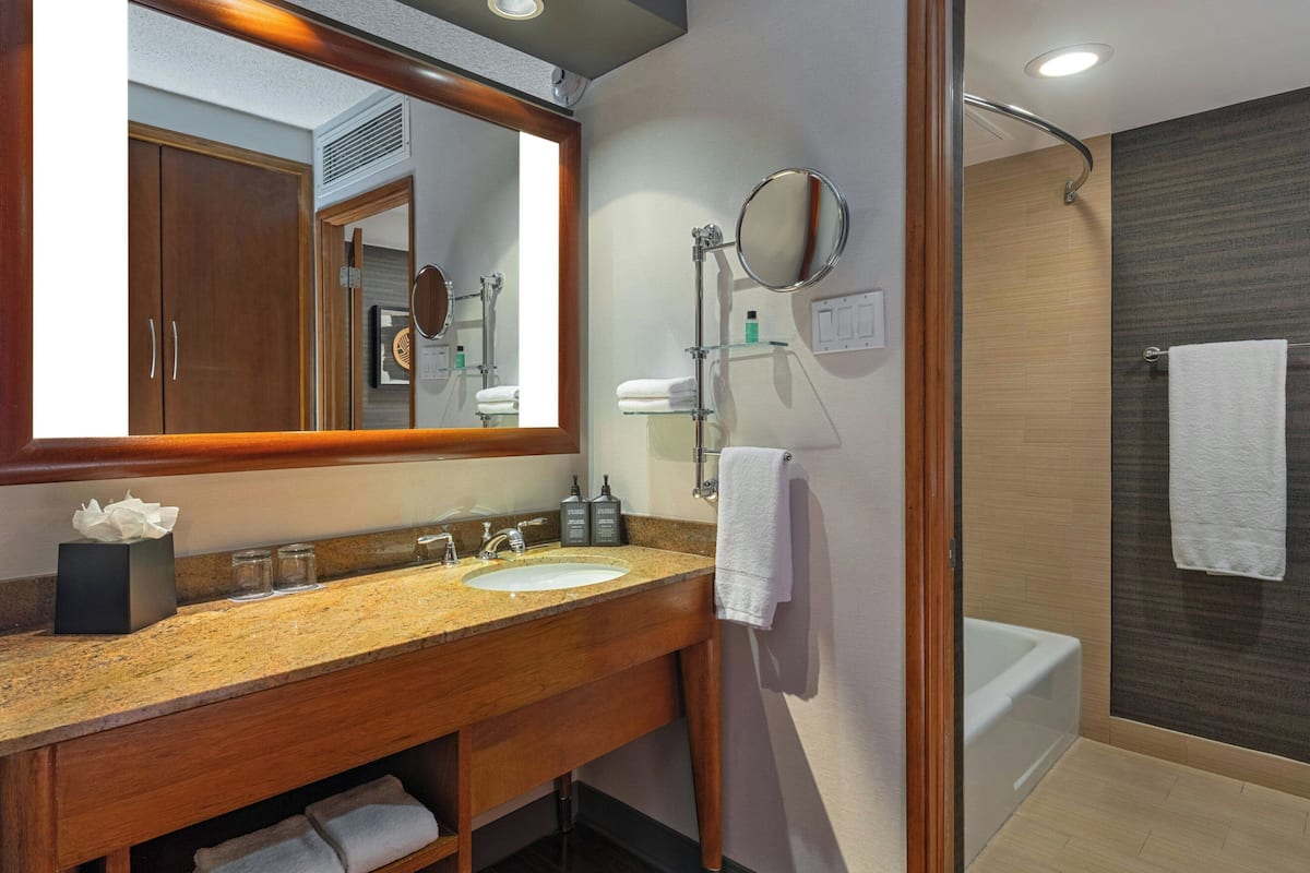 combined shower/bathtub, free toiletries, hair dryer, towels