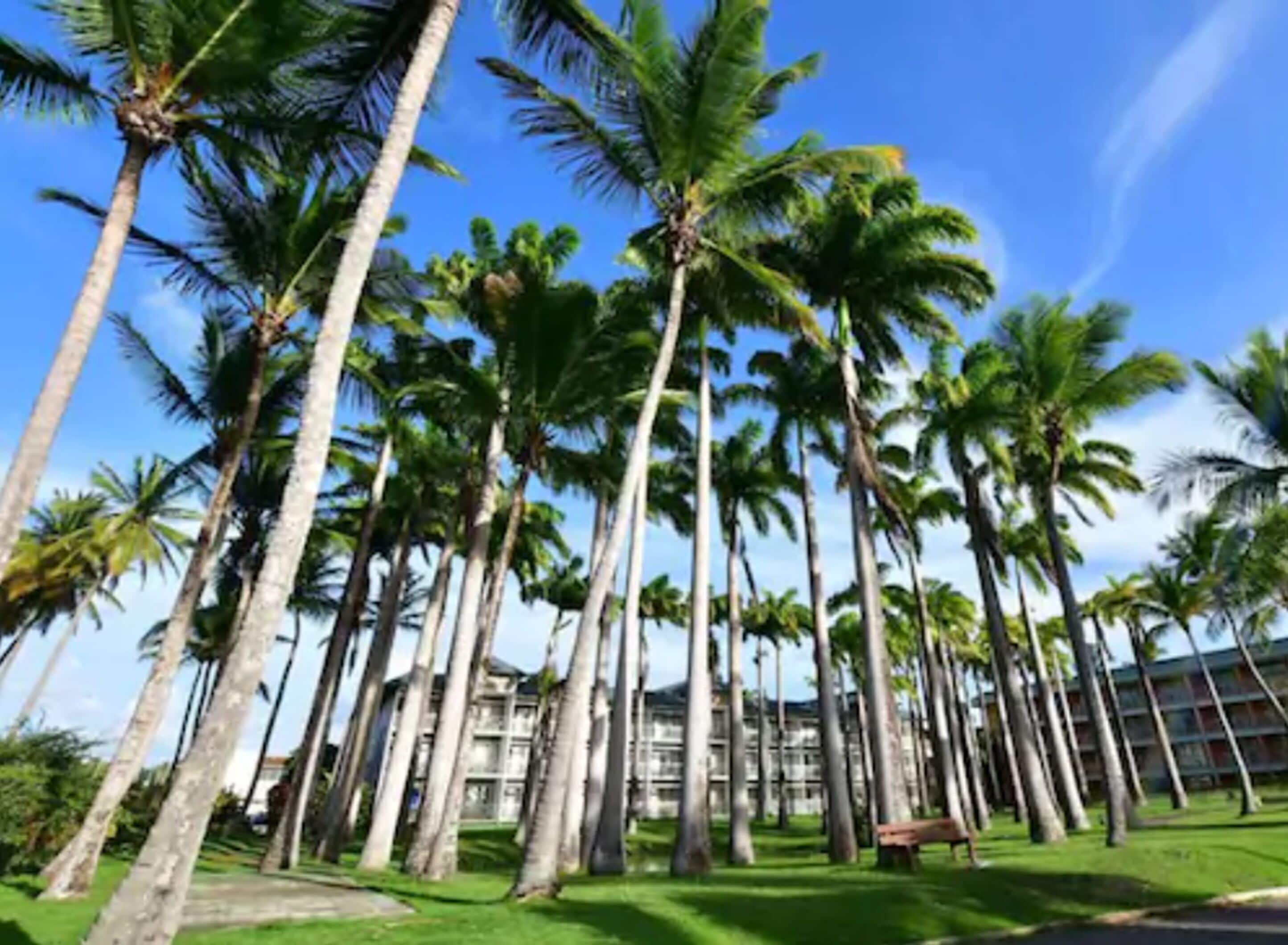 Photo - Hotel Bakoua Martinique