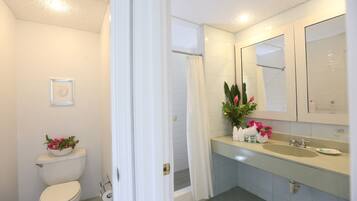 A bathroom with a toilet, sink, and shower area.