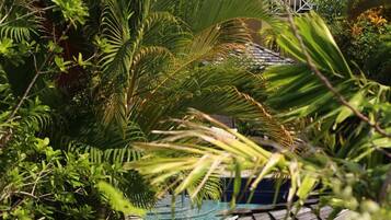 Piscine extérieure, cabanons gratuits, chaises longues