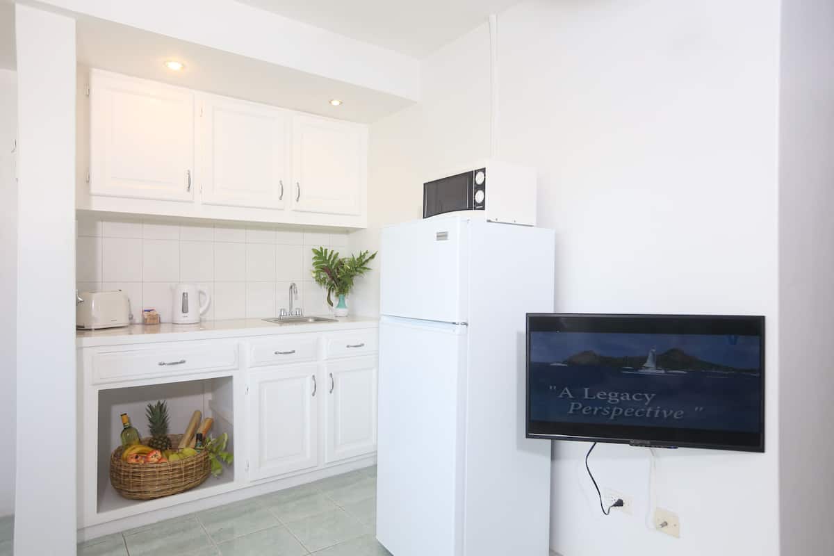premium suite | private kitchen | fridge, microwave