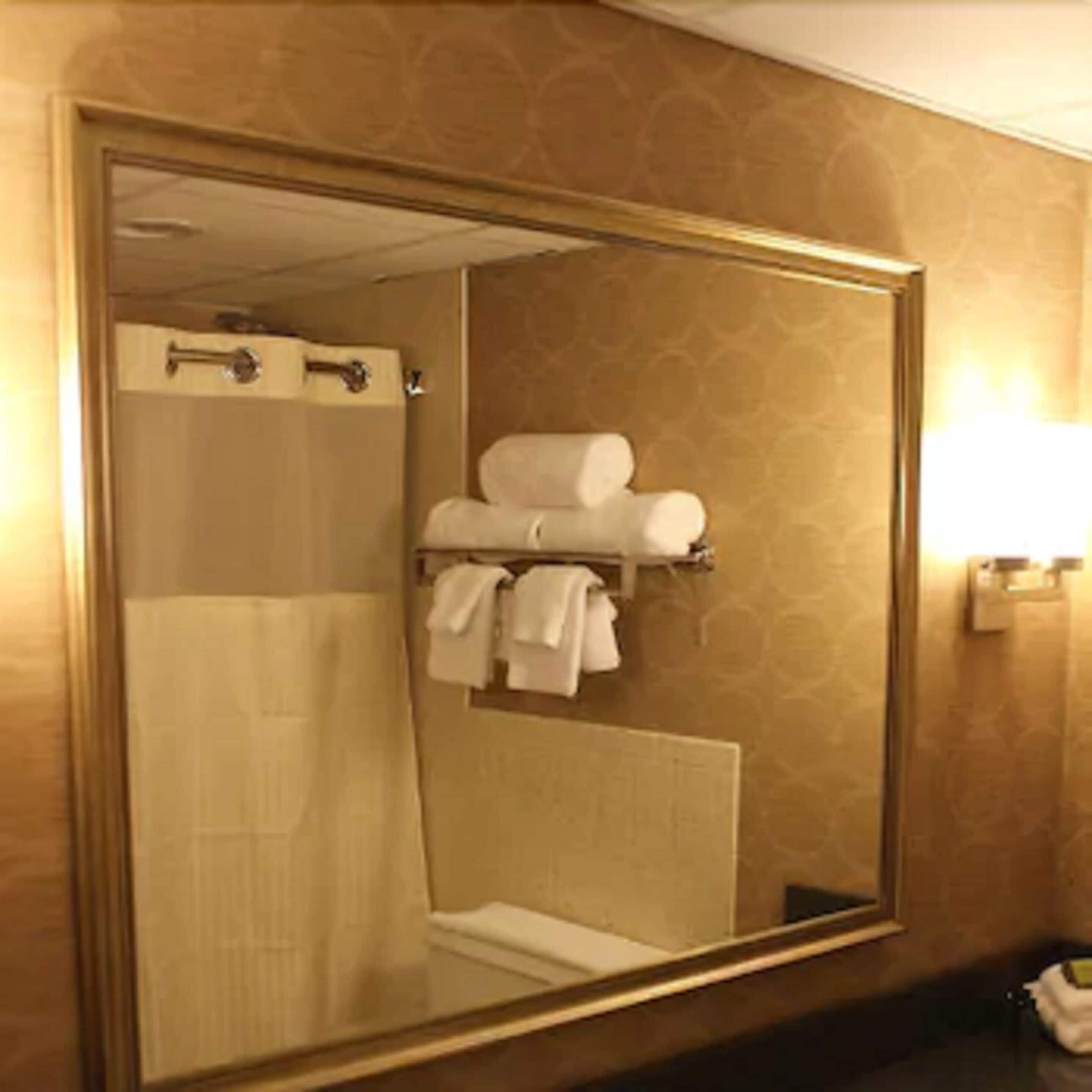 A bathroom with a large mirror, a towel rack, and a shower curtain.
